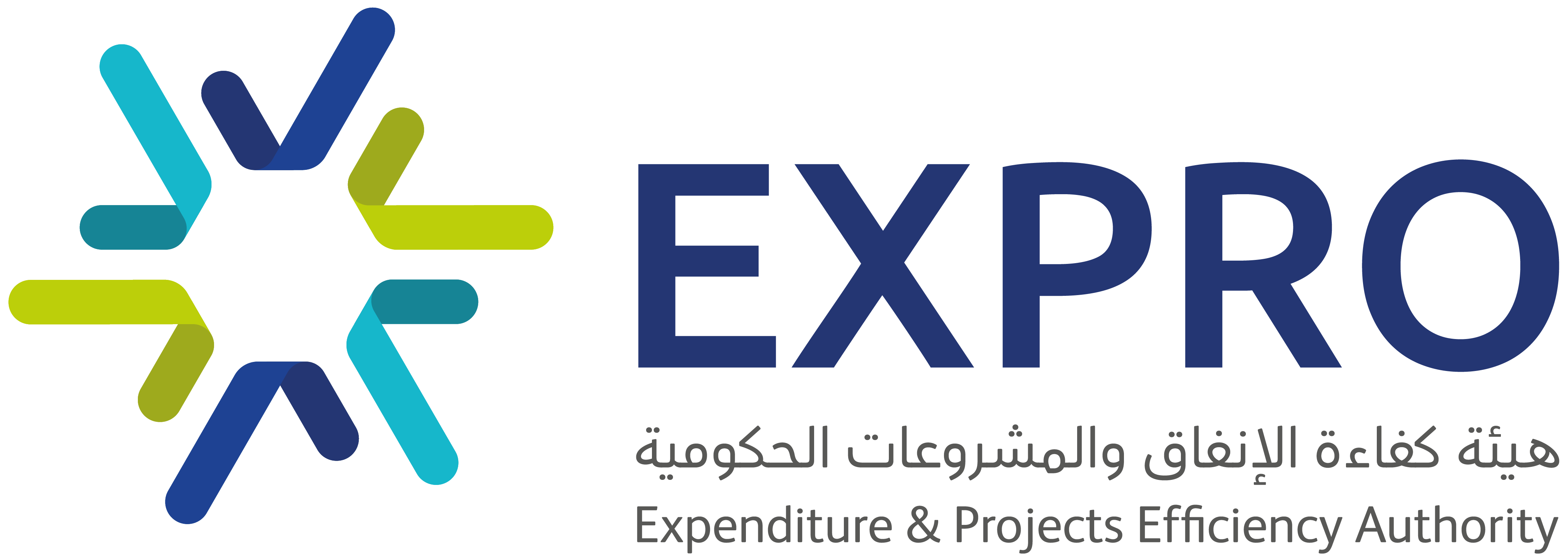 هيئة كفاءة الإنفاق والمشروعات الحكومية (إكسبو)