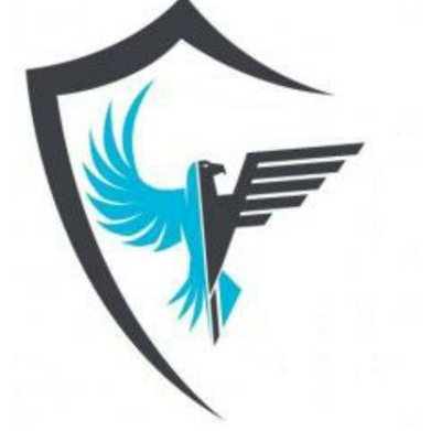 عين الصقور الساهرة للحراسات الأمنية