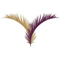 فلل فيفيندا الفندقية