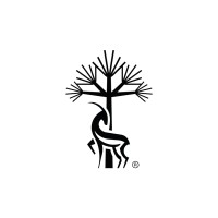 فنادق ورقان