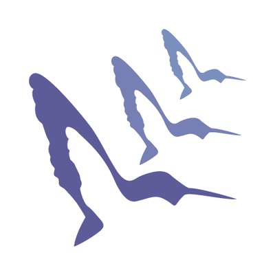 سرب الدولية