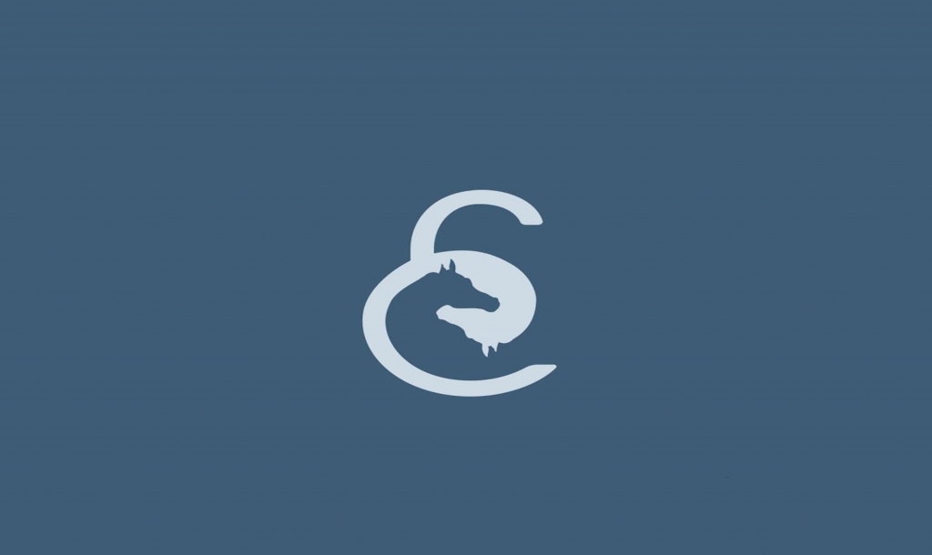 مربط عبدالله آل محمود